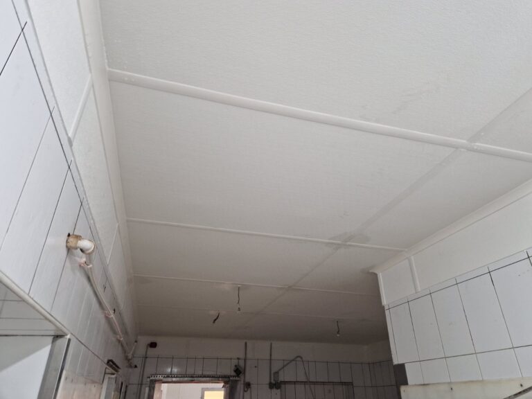 ÚJ-PALINI HÚS ZRT.  Rendszerben gondolkozunk