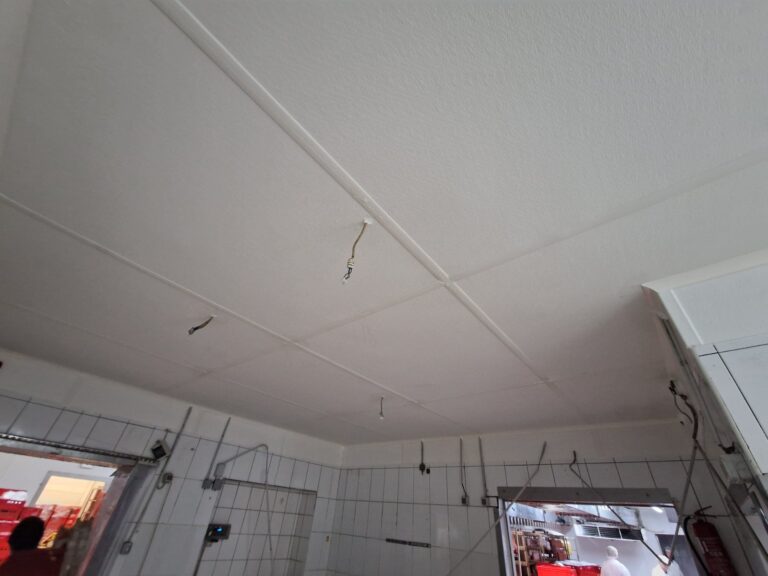 ÚJ-PALINI HÚS ZRT.  Rendszerben gondolkozunk